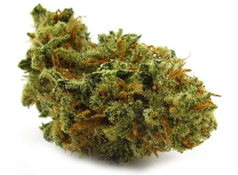 Alaskan Thunder Fuck