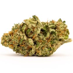 Buy White Widow Online