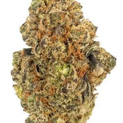Buy Animal Mints Strain Online