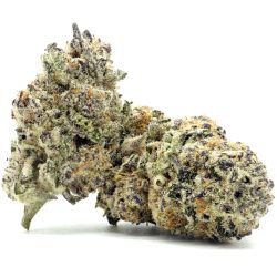 Buy Truffle Butter Strain Online
