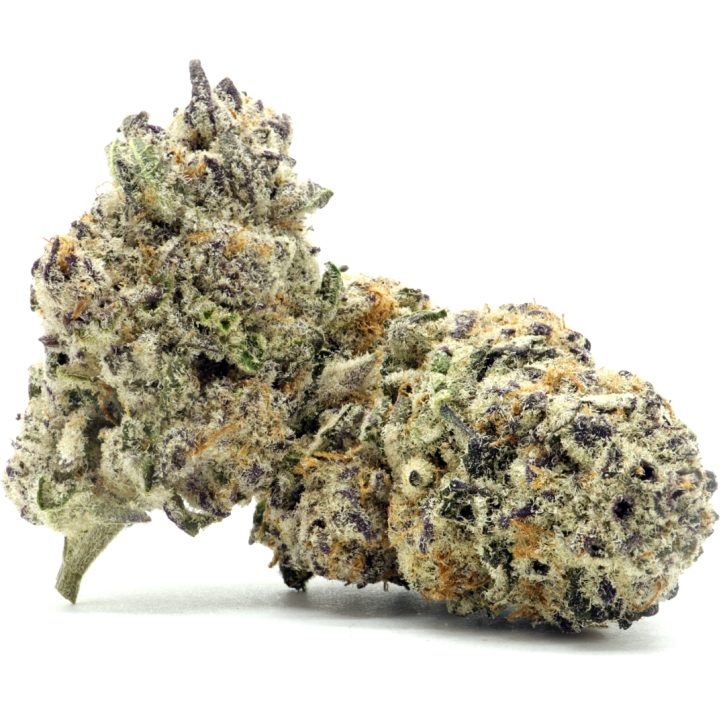 Buy Truffle Butter Strain Online