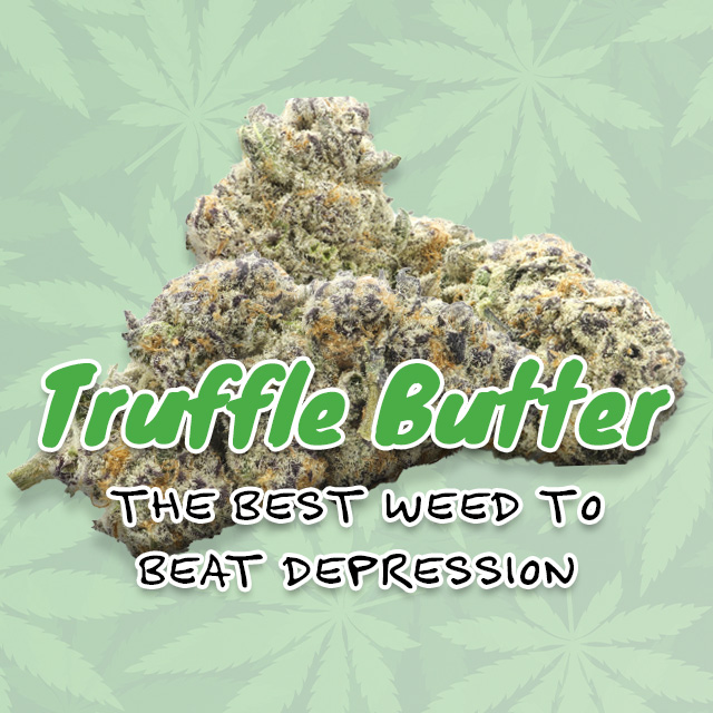 Truffle Butter Best Weed