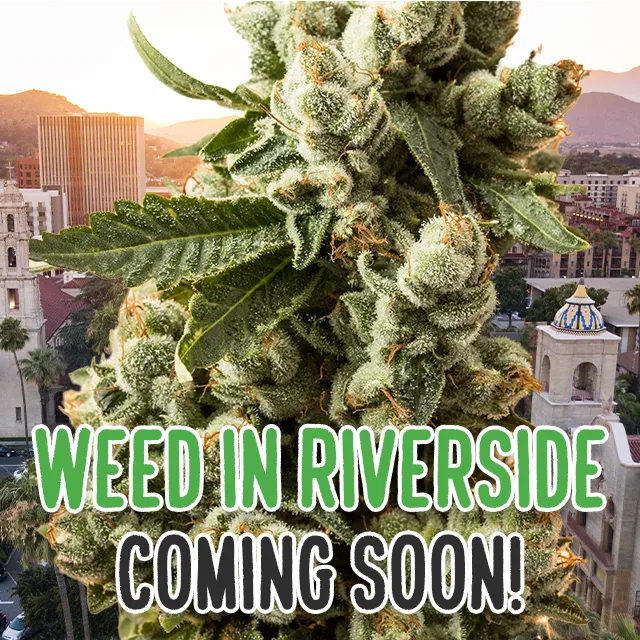 Weed Shops in Riverside
