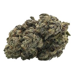 Buy Glitter Bomb Strain Online