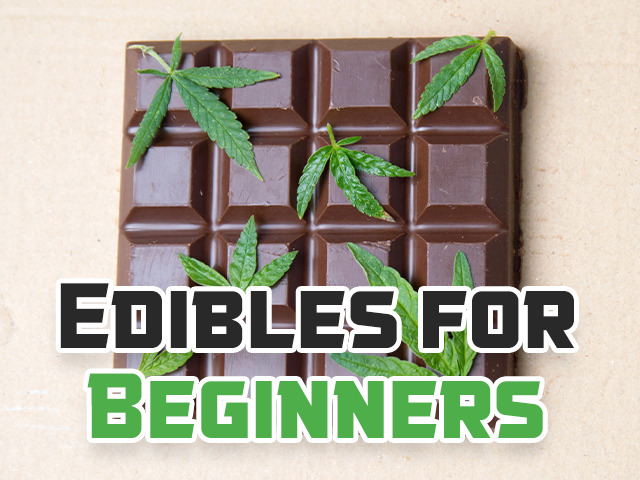 Edibles for Beginners: A Guide to Getting High