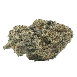 Jokerz Hybrid Strain aka Jokers