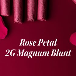ROSE PETAL 2G MAGNUM BLUNT BAD BOY AND DIRTY GIRL STRAINS