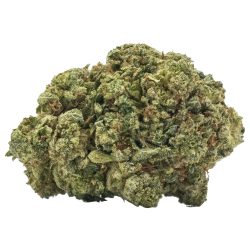 Permanent Marker cannabis hybrid strain, a balanced hybrid with pine and citrus flavor.