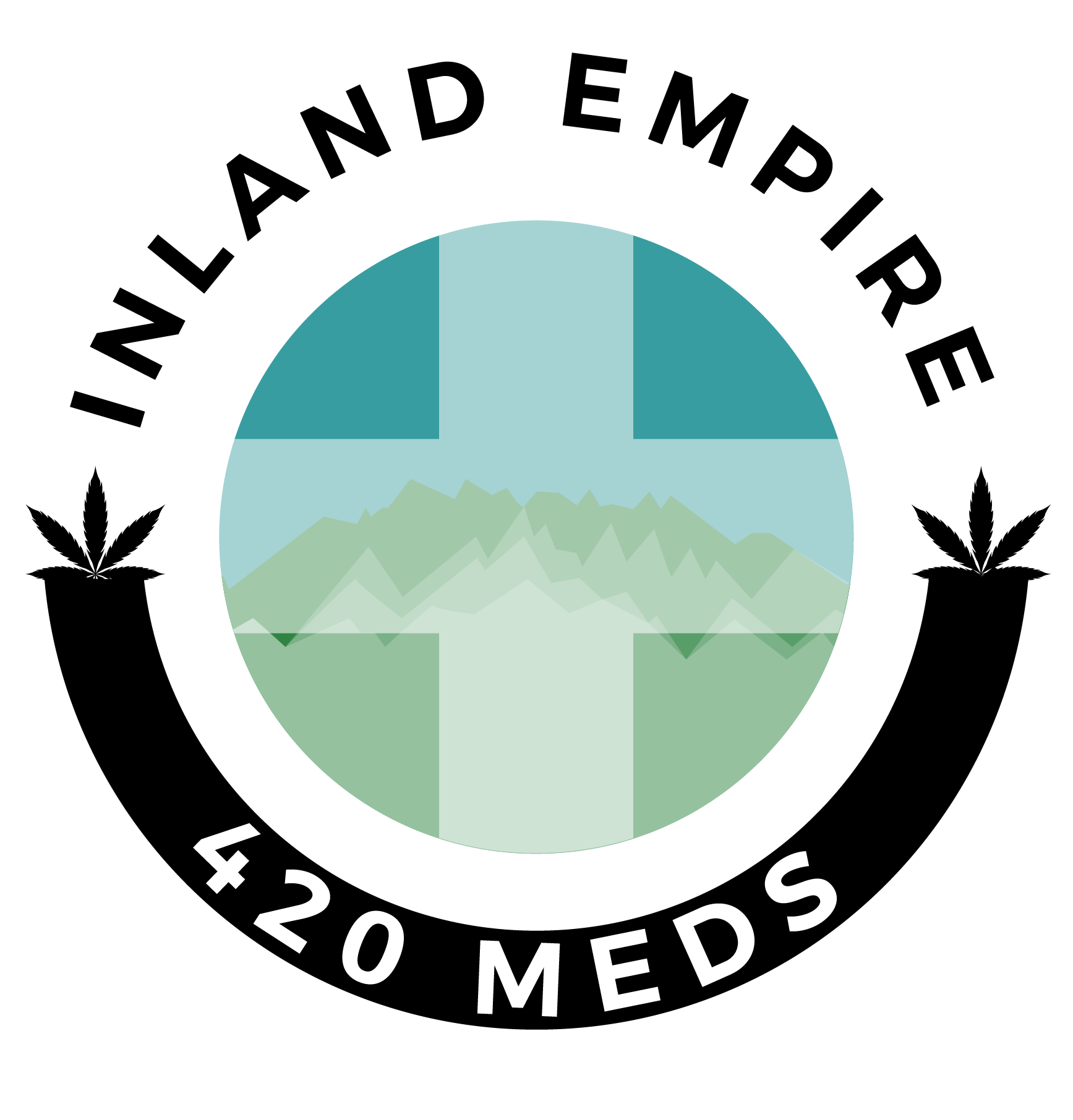 IE 420 Meds Logo
