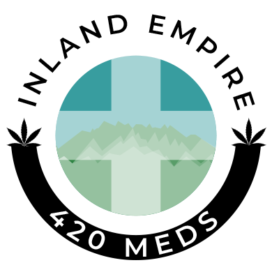 IE 420 MEDS LOGO