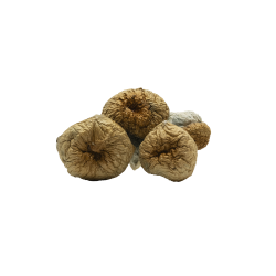 Golden Teacher Mushrooms - Magic Shrooms