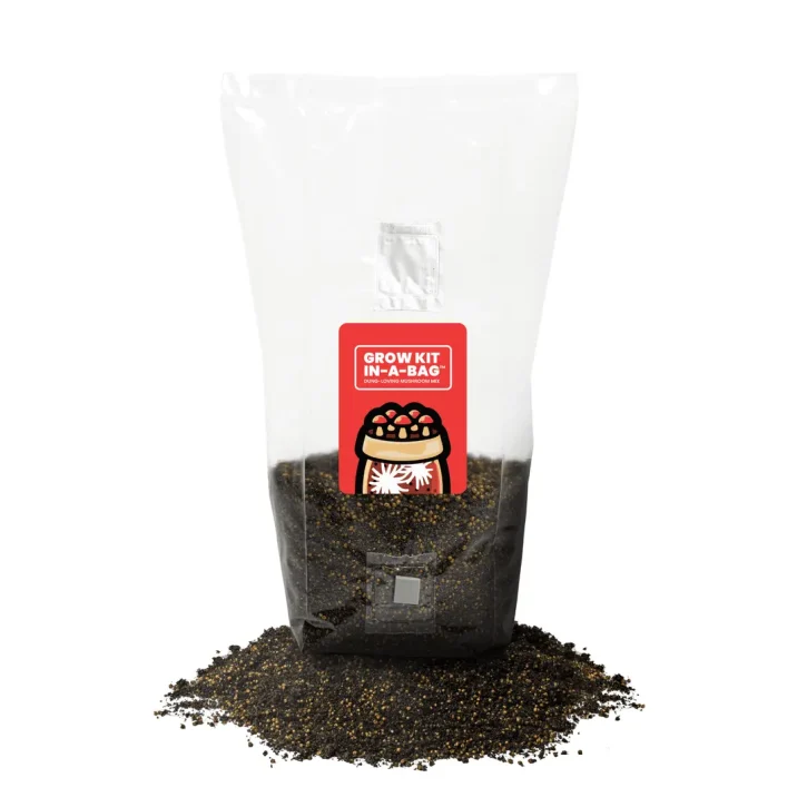 The Mushroom Grow Kit In A Bag