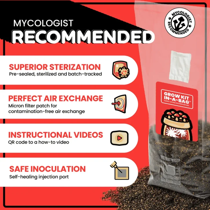 MUSHROOM GROW KIT IN-A-BAG - Image 5