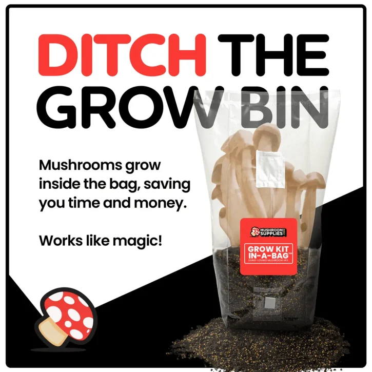 MUSHROOM GROW KIT IN-A-BAG - Image 2