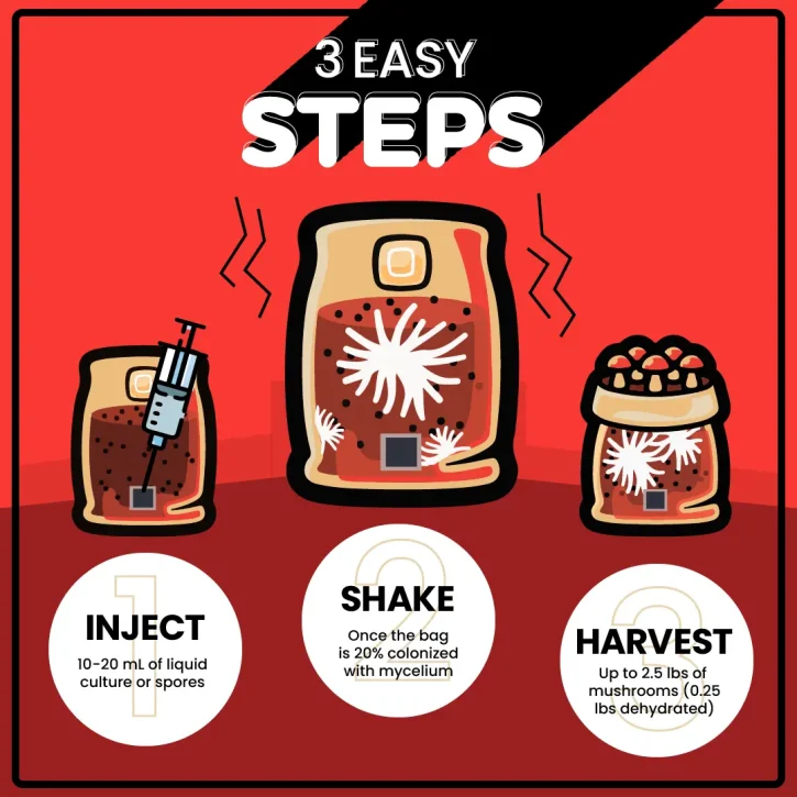 MUSHROOM GROW KIT IN-A-BAG - Image 3